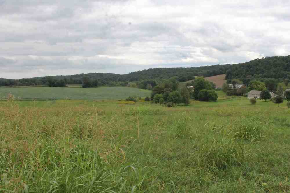 5780 Blooming Grove Rd - Photo 3 of 10