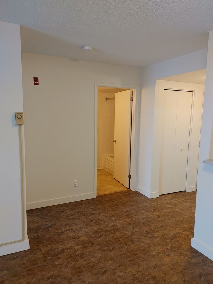 145 Clarence Street - Photo 2 of 9