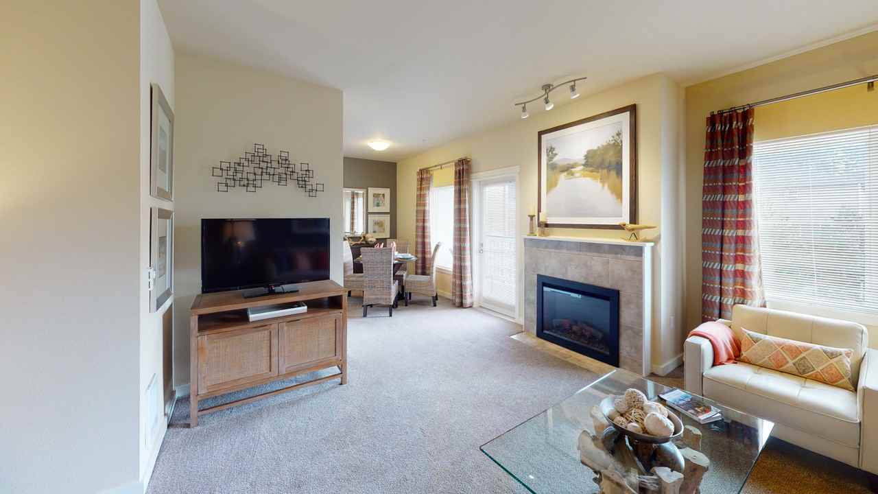 Bracera - Photo 4 of 37