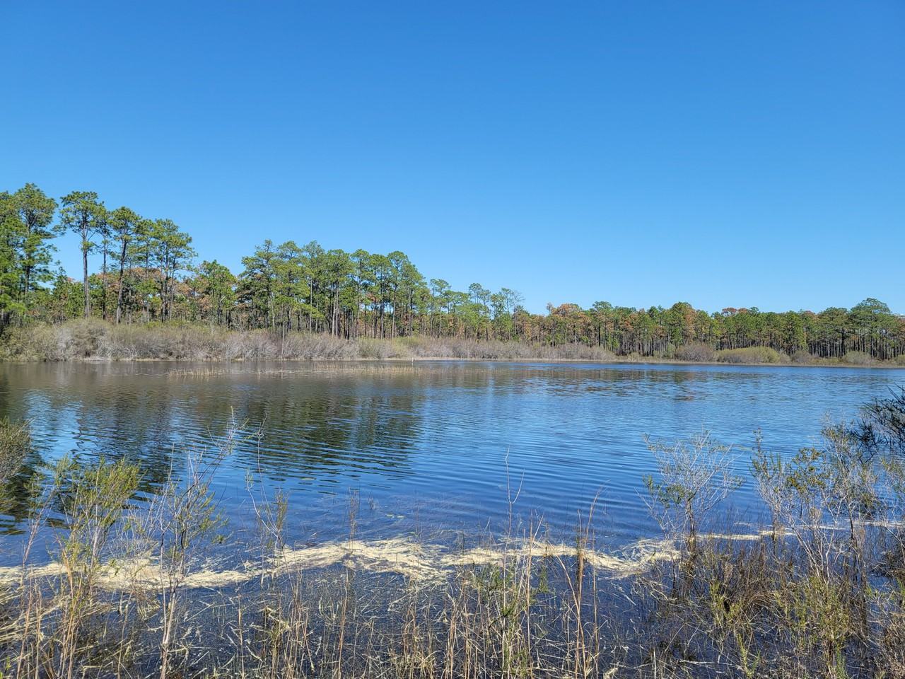 19 Short Rd #1 - Photo 3 of 8