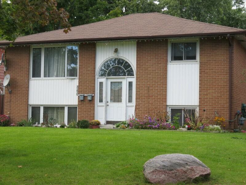 360 Dwight Avenue #1