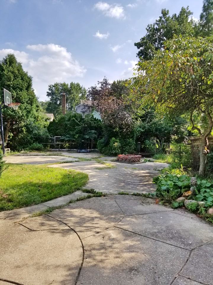 3281 Smiley Road - Photo 2 of 34