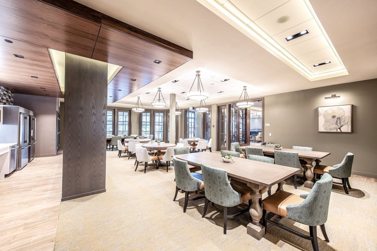 Vita - Photo 6 of 26