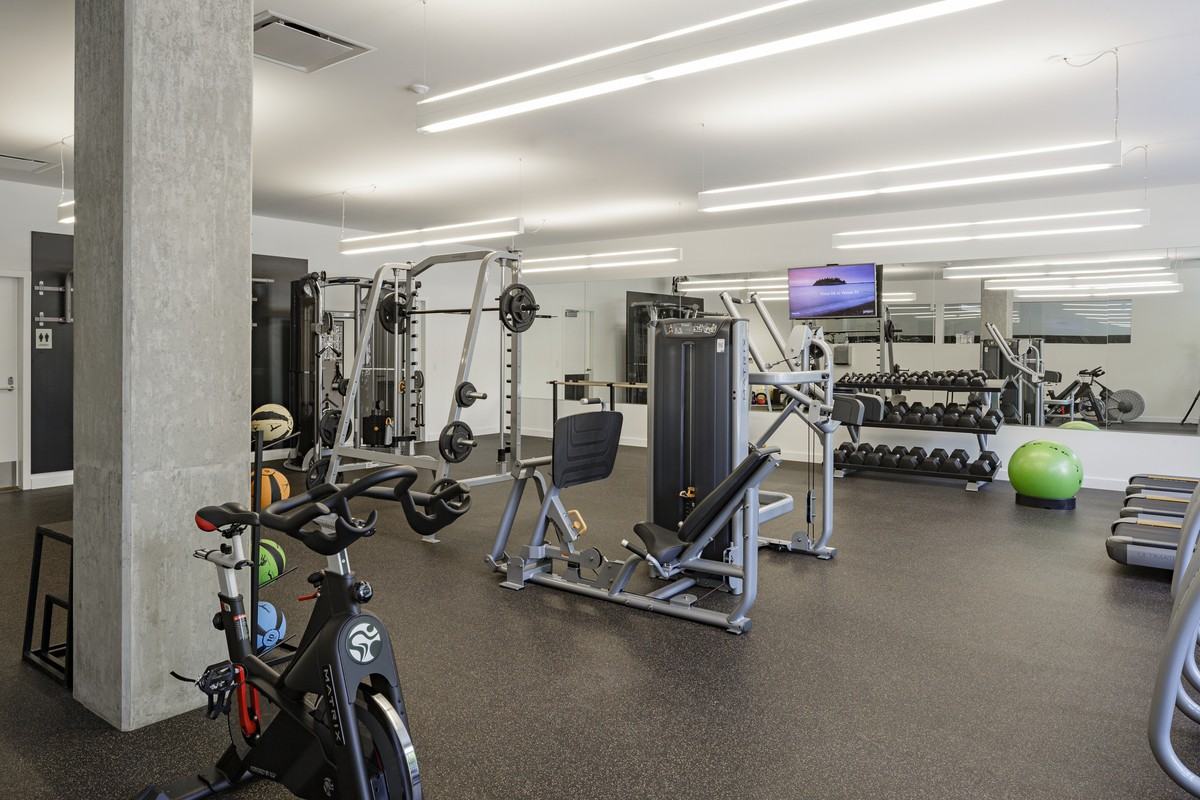 Velomor - Photo 4 of 28