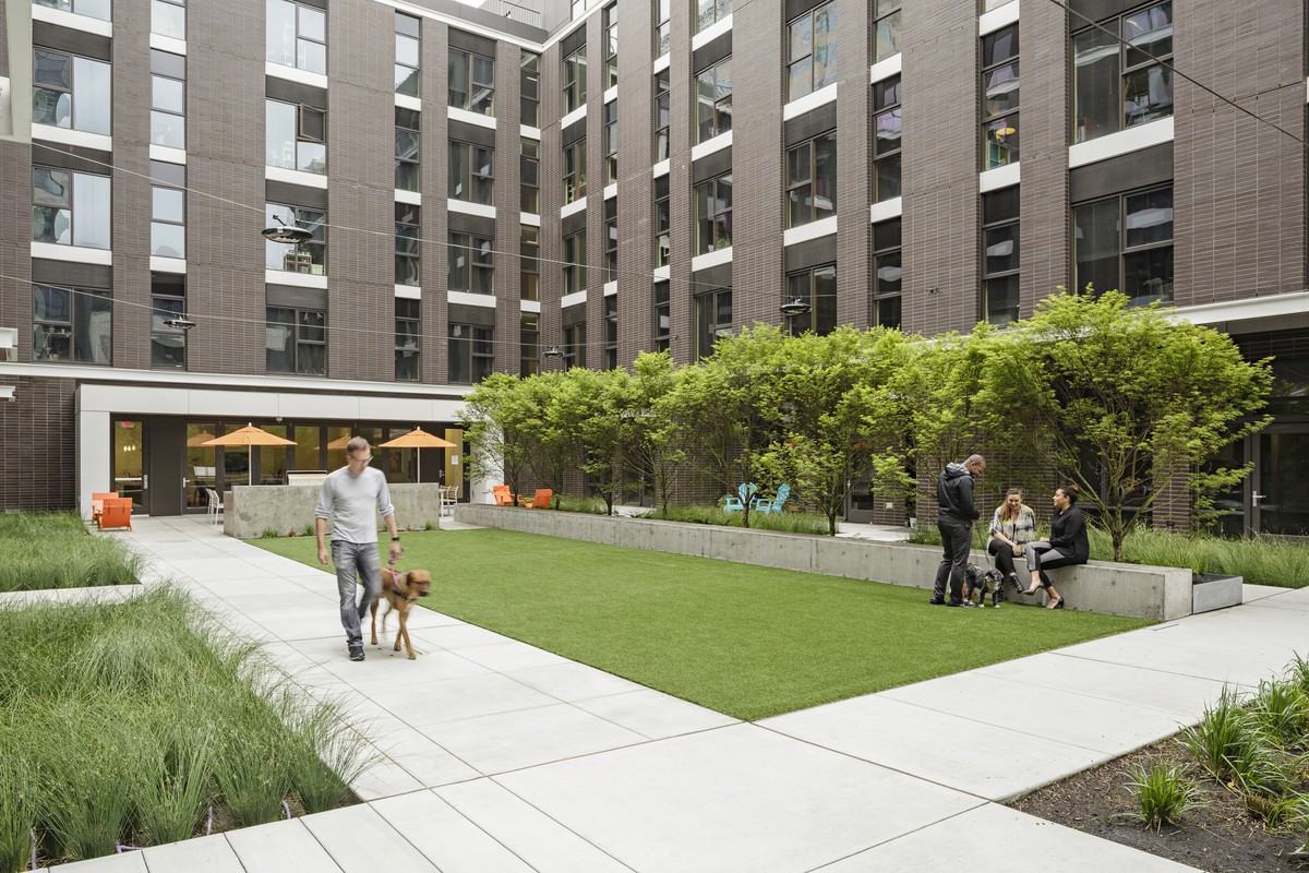 Velomor - Photo 6 of 28