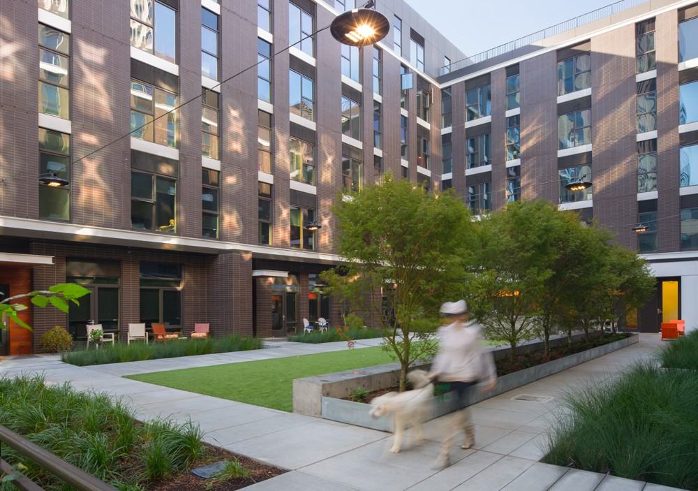 Velomor - Photo 7 of 28