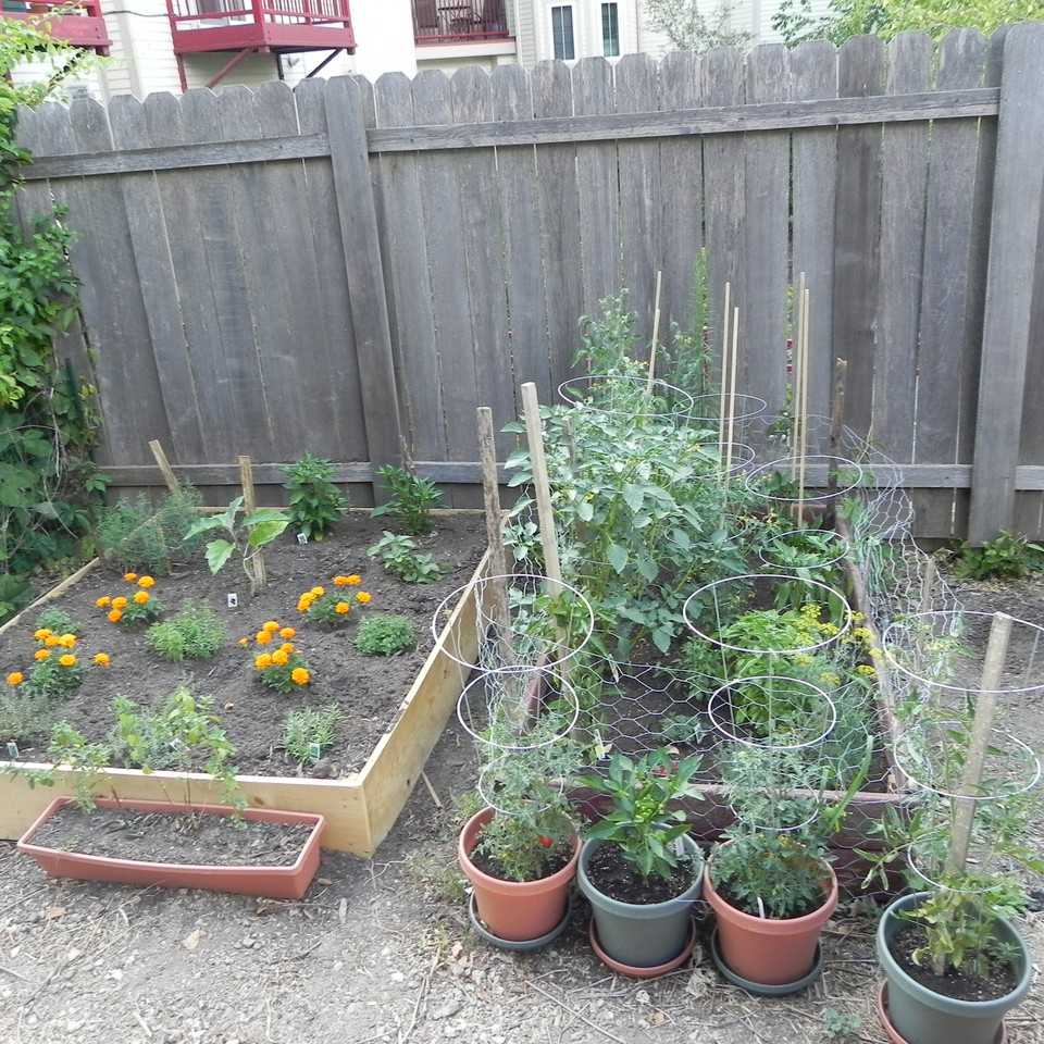 1046 Jenifer Street - 3 Flat - Photo 2 of 8