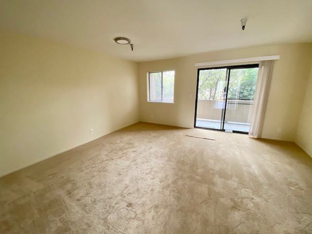 137 Anita - Photo 3 of 13