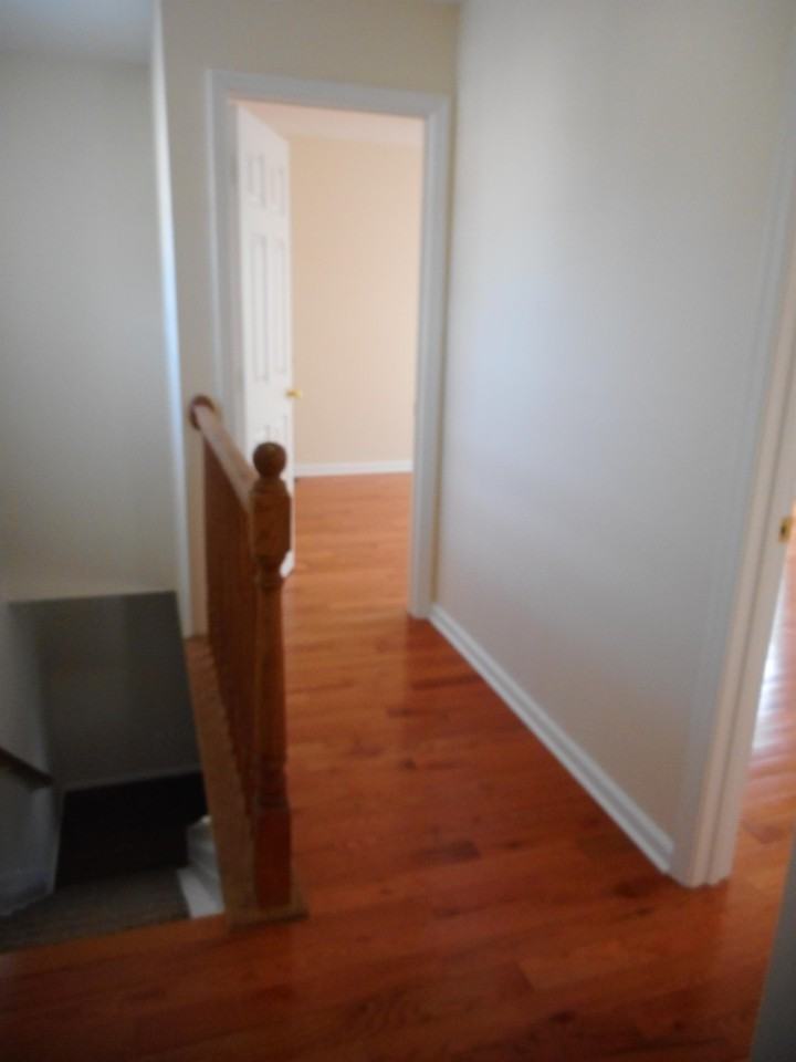 457 Lafayette St #1 - Photo 6 of 21