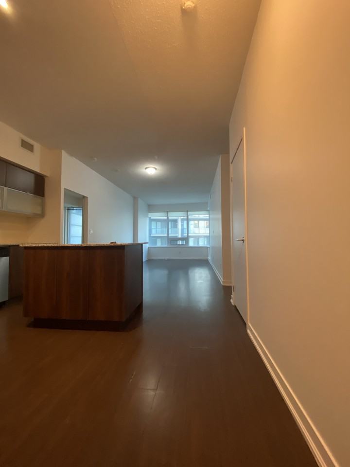 55 East Liberty Street #1007