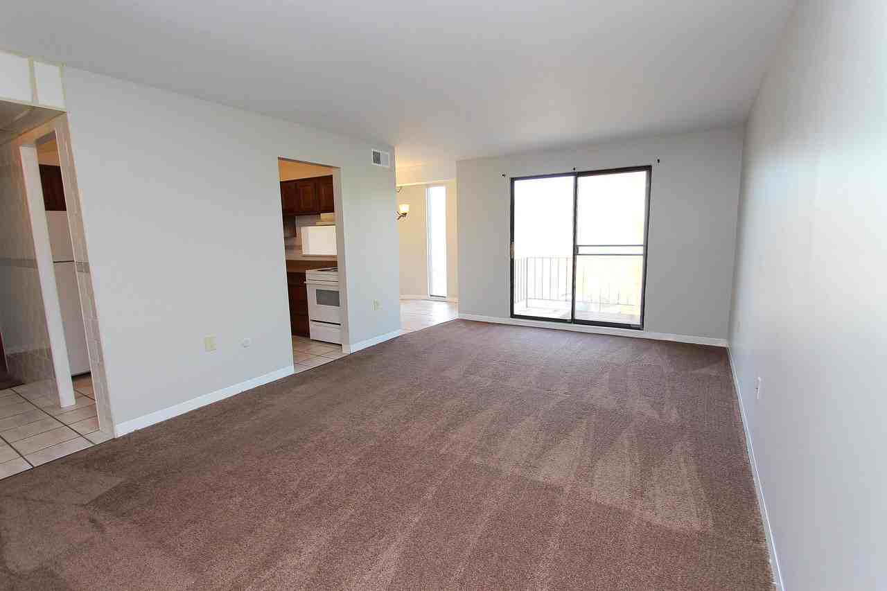 3260 WAVERLY STREETAPT 4 #4 - Photo 4 of 11