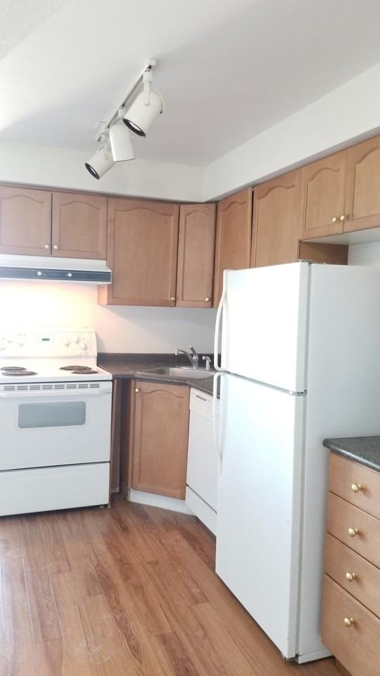 The Atrium on Queens Quay #4482 - Photo 3 of 13