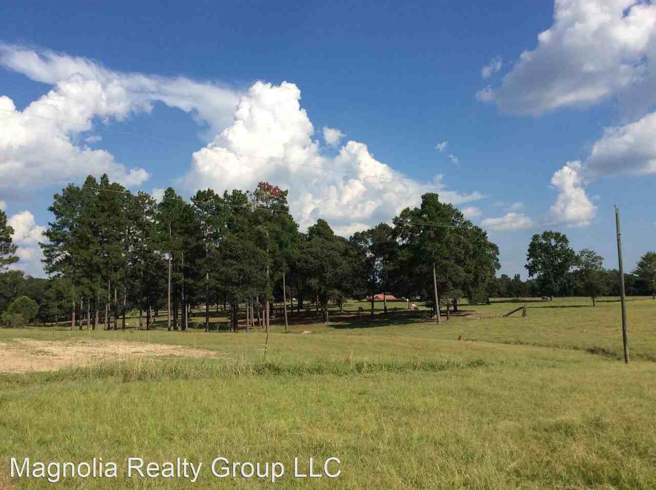 195 195 D. E. Jeane Rd - Photo 3 of 24