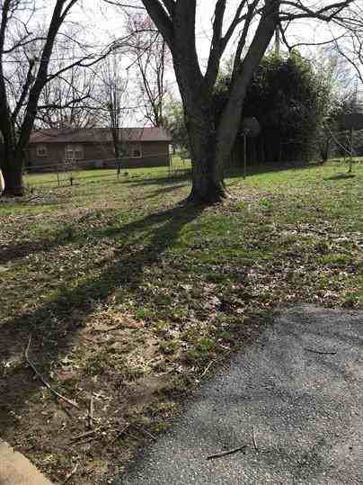 115.5 Ann - Photo 3 of 23