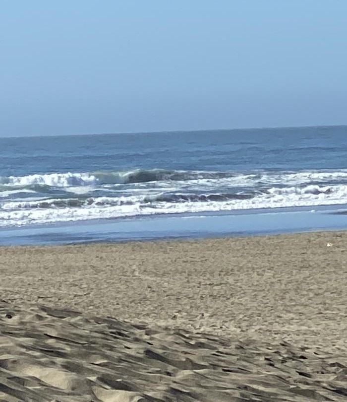 1335 46th Ave - Photo 3 of 20