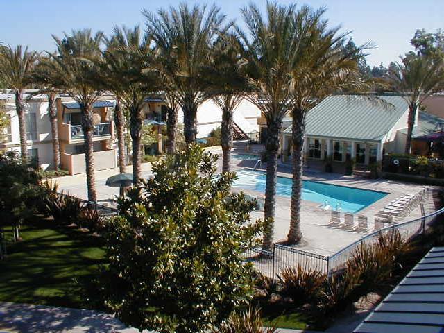 3201 Yorba Linda Blvd - Photo 6 of 22