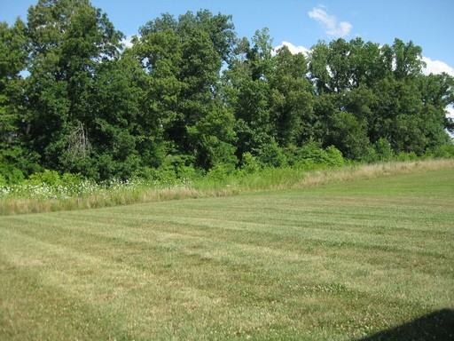 852 Dixie Ln - Photo 3 of 15