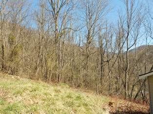 129 Dry Branch Rd - Photo 3 of 22
