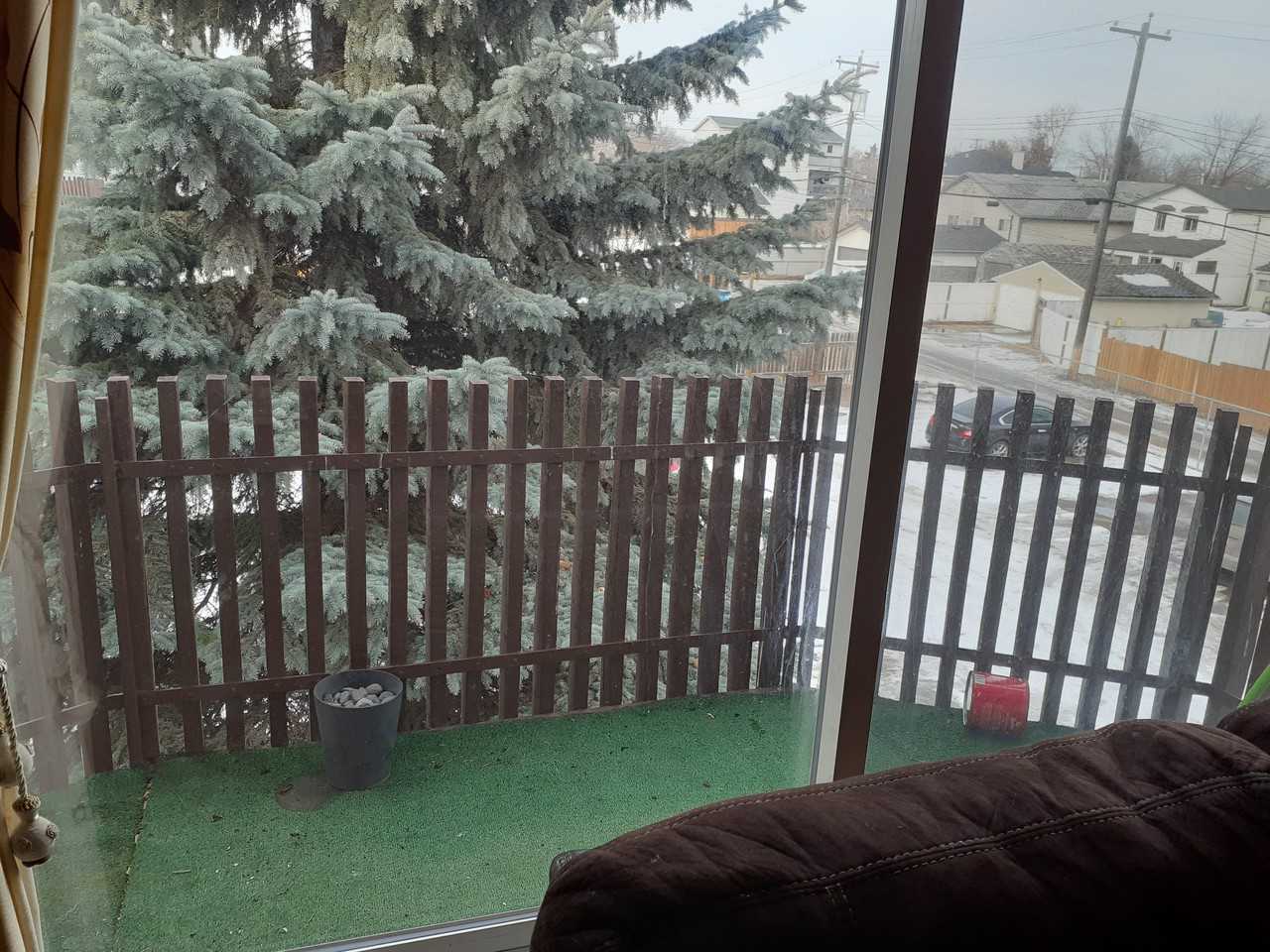 11907 81 Street Northwest #303 - Photo 3 of 7