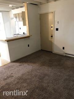 427 427 South Pearl St 2 - Photo 2 of 6