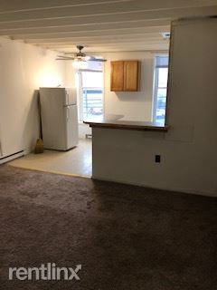 427 427 South Pearl St 2 - Photo 3 of 6