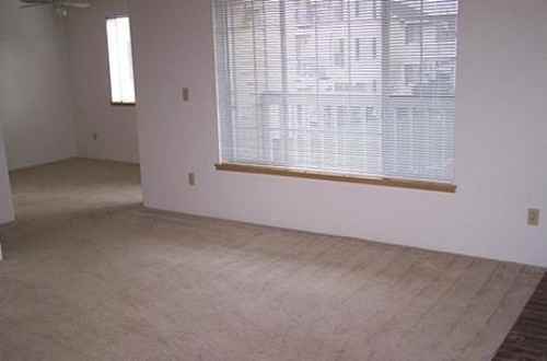 18463 Blueberry Lane - Photo 3 of 20