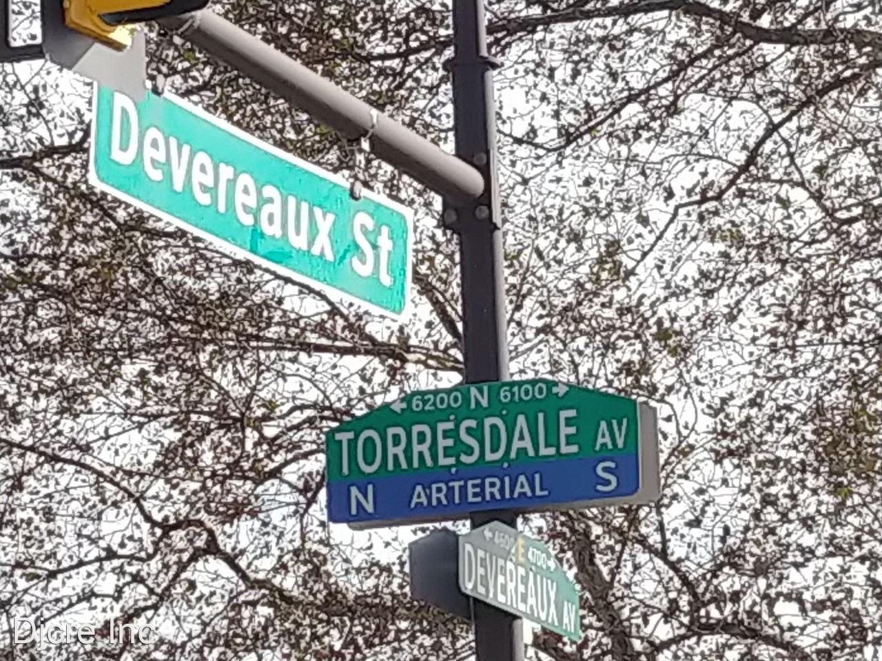 6200 Torresdale Avenue - Photo 2 of 5