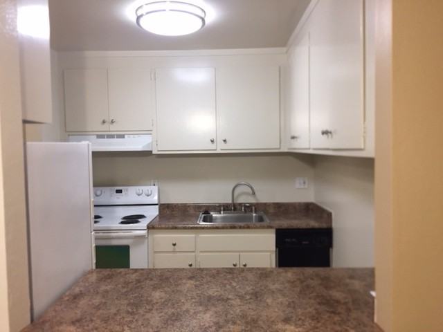 One Bedroom - Photo 2 of 14