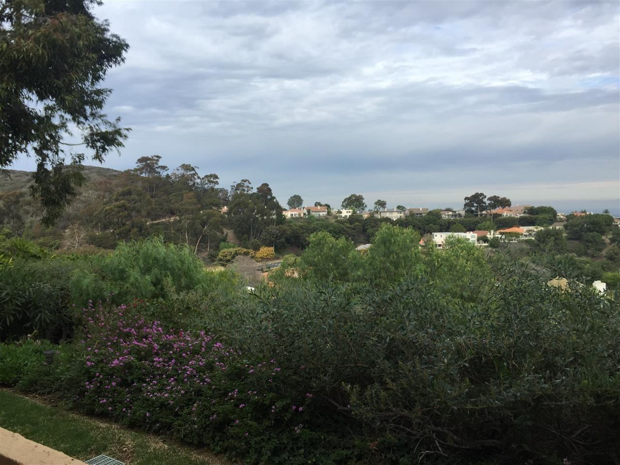 6605 Caminito Scioto - Photo 3 of 14