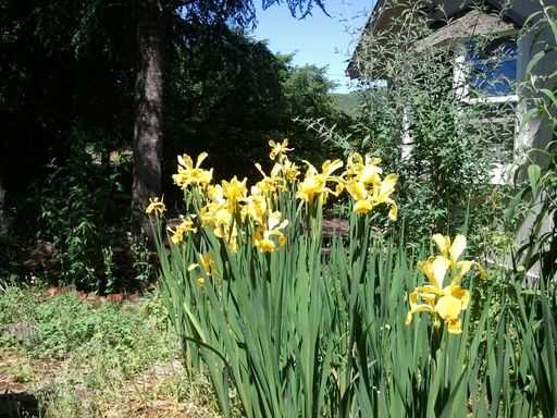 92435 Marcola Rd - Photo 2 of 20