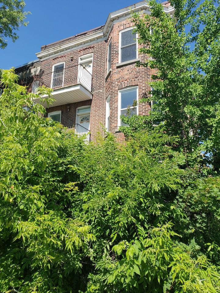 5551 Rue Saint-Jacques #3