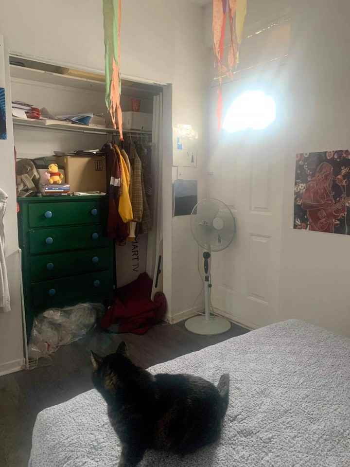 5551 Rue Saint-Jacques #3 - Photo 4 of 12