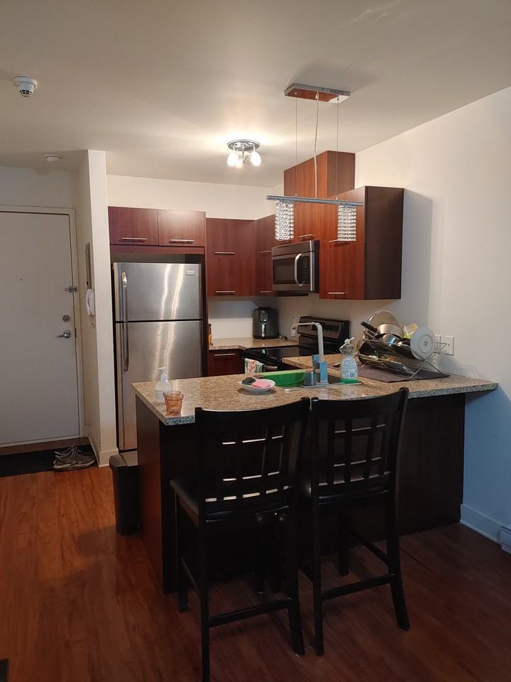 7356 Rue Sherbrooke Ouest, Montréal, QC H4B 1R7 1 Bedroom Apartment