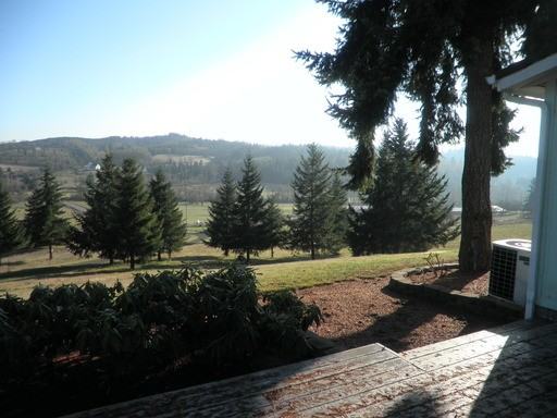 5627 Cooper Hollow Rd - Photo 2 of 12