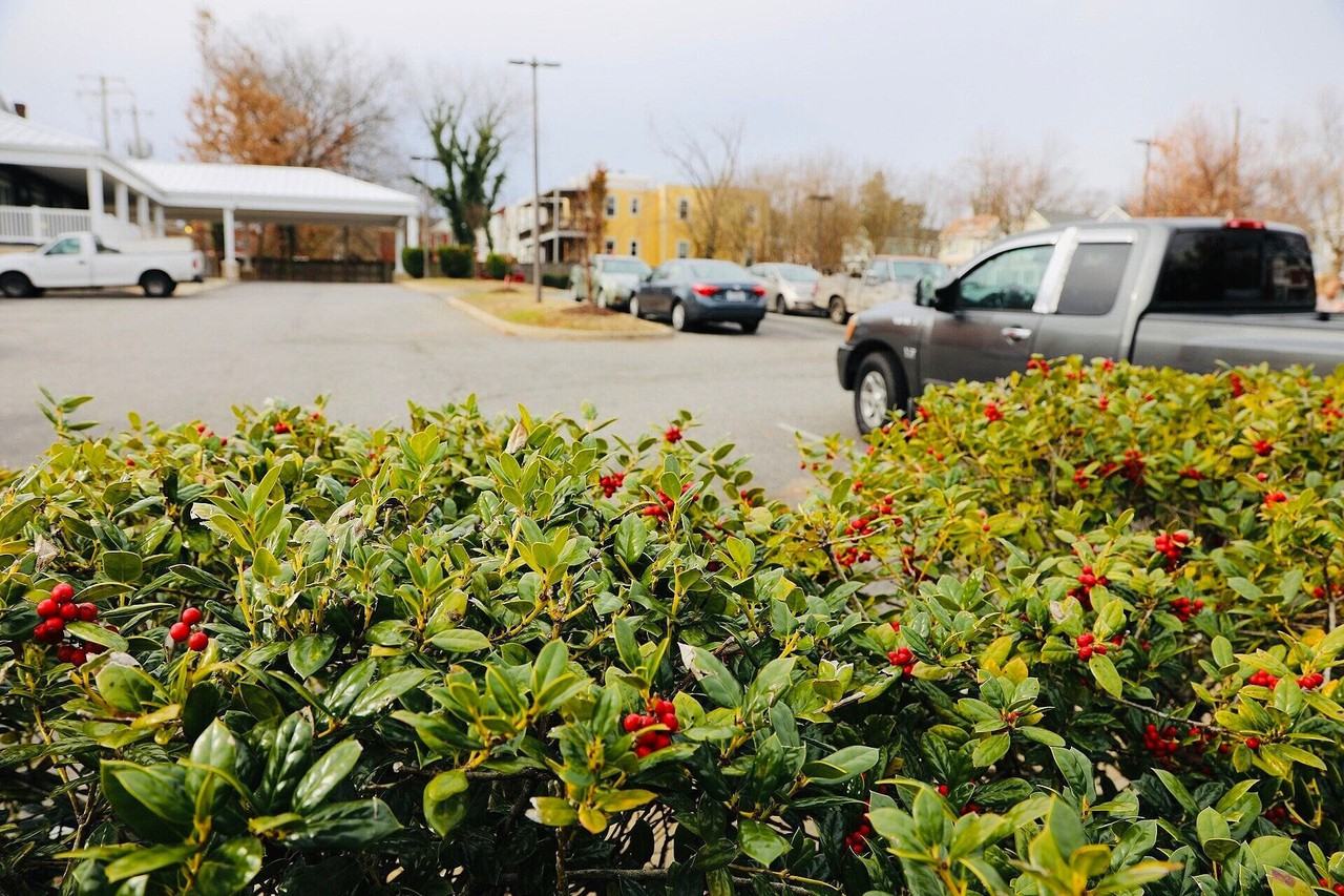 Manchester Grand - Photo 2 of 12