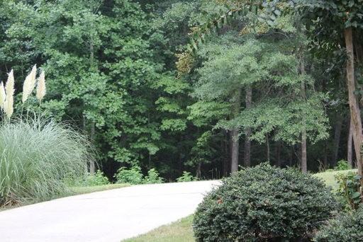 369 Green Ridge Rd - Photo 3 of 12