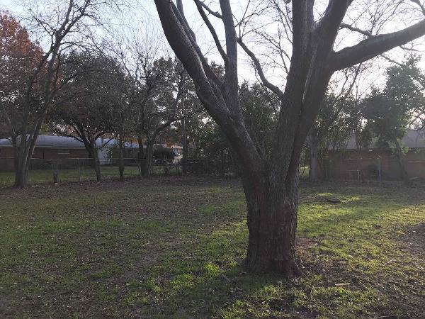 5729 Wales Ave - Photo 3 of 24