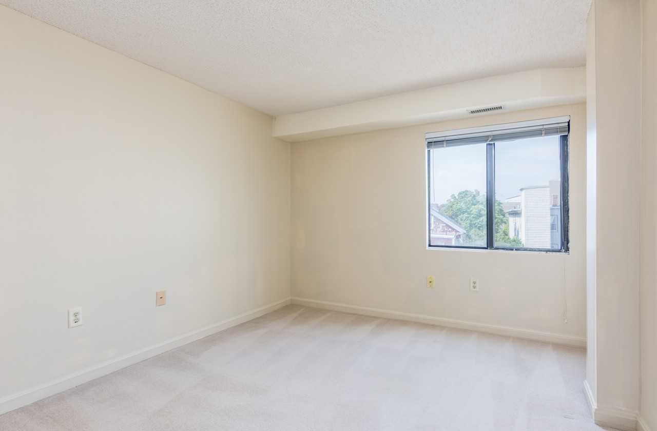 Elmer Street #202 - Photo 3 of 6