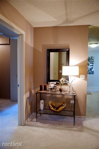 350 E South Water St - Photo 2 of 17