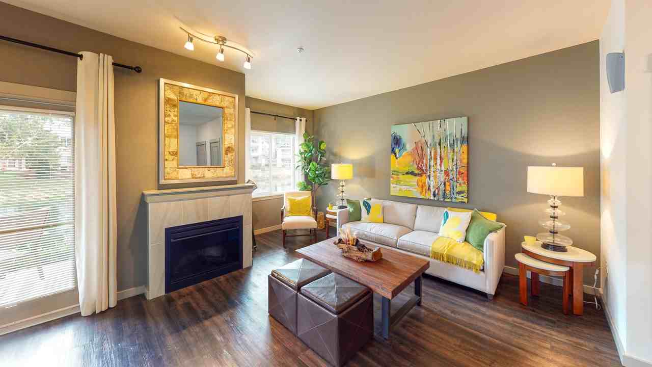 Novo - Photo 6 of 160