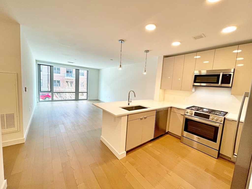 45 Lewis St Apt 102