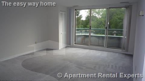 175 Beacon St #406 - Photo 5 of 10