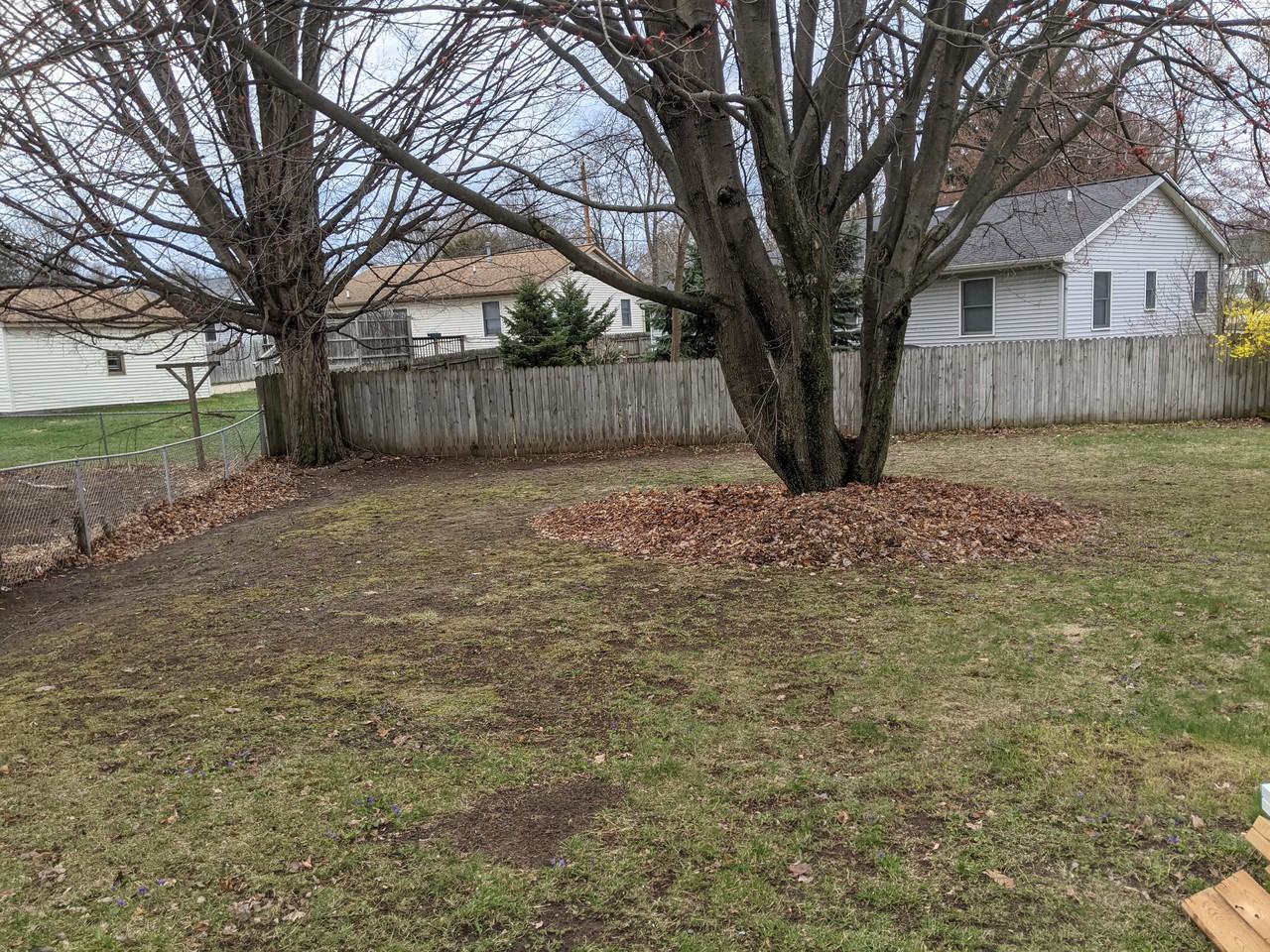 2102 36th St Sw - Photo 3 of 21