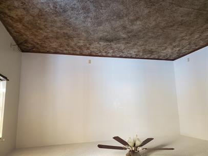 1324 Meadow Lane - Photo 2 of 8