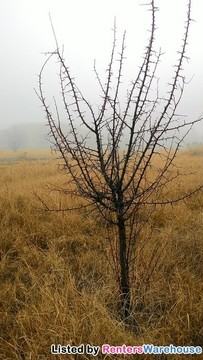 5 New York Rd - Photo 3 of 4