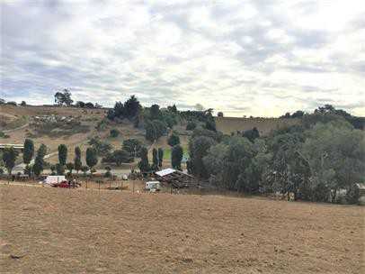 Castroville Blvd:15987 - Photo 2 of 7