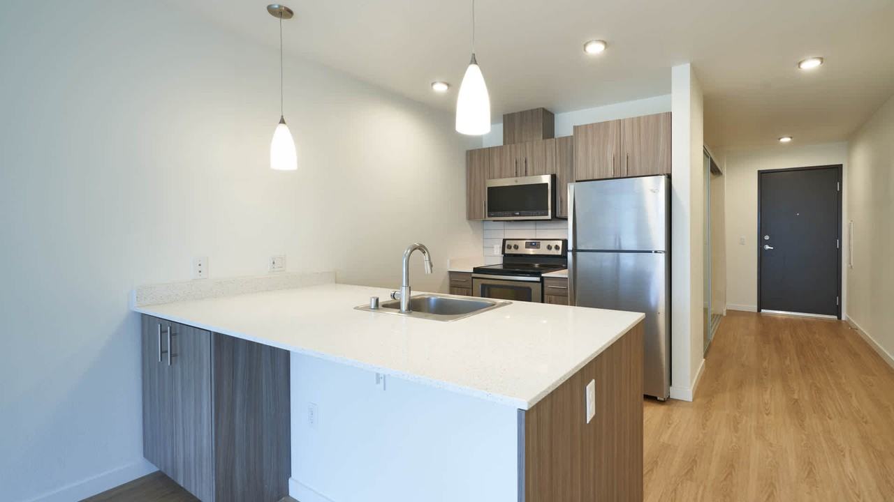 Springline - Photo 7 of 50