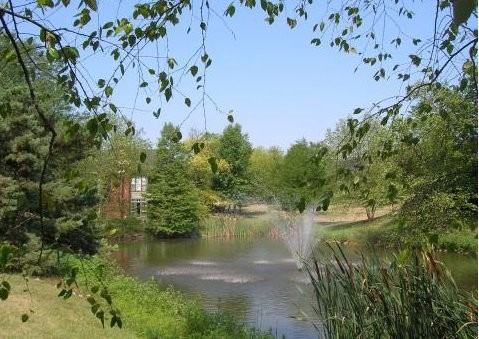 65 Bishopsgate Dr #413 - Photo 3 of 6