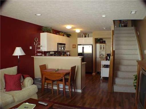 7019 Pleasant Colony Way - Photo 3 of 11