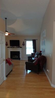 1520 Mt Mitchell Ct - Photo 3 of 17